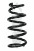 SPIDAN 86897 Coil Spring